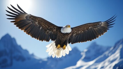 Naklejka premium Bald Eagle Soaring Over Snowy Mountains