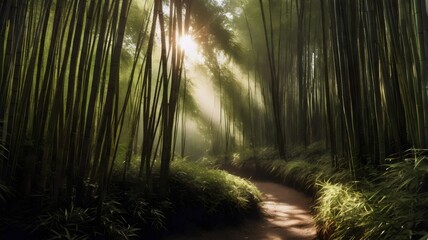 Fototapeta premium A dense bamboo forest with sunlight filtering through the tall stalks, and a serene path leading deeper into the green expanse