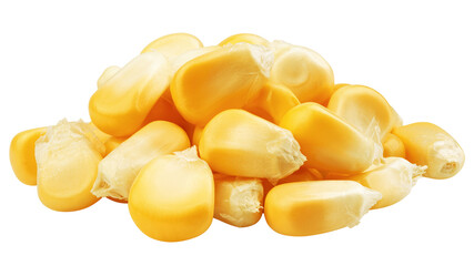 Corn Seed isolated on white background, full depth of field