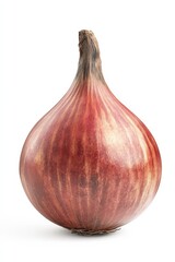 Obraz premium Red Onion on White Background