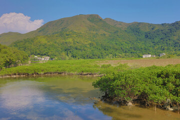 Nov 22 2015 the Plover Cove Country Park LUK KENG