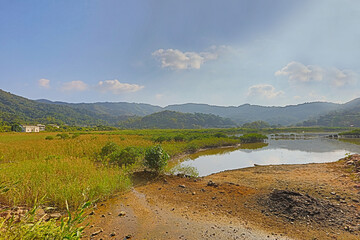 the Plover Cove Country Park LUK KENG Nov 22 2015