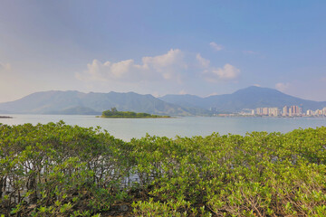 Obraz premium Nov 22 2015 the Plover Cove Country Park LUK KENG