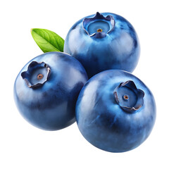 Obraz premium blueberries on a white background
