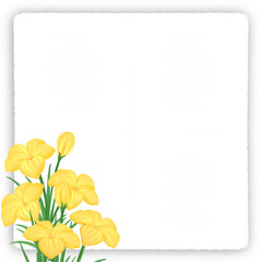 yellow Zephyranthes white note paper