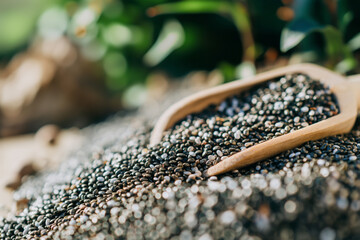 Close-up of chia seeds with a wooden scoop in an outdoor natural setting, emphasizing health, nutrition, and organic superfood concepts
