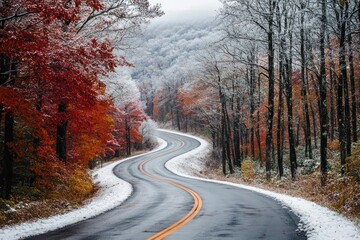Winding Road Through a Snowy Forest with Autumn Colors