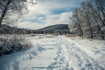 Obraz premium Snowy winter road with trees covered in frost