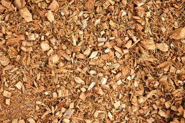 Top view of brown natural tree bark and soil background. Close up.