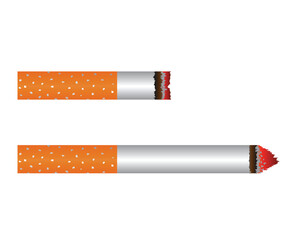 Smoldering Cigarette. Bad habits and nicotine consumption concept vector
