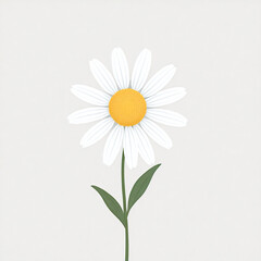 Fototapeta premium Cheerful daisy bloom