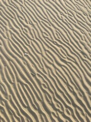 Dessin naturel sur le sable fin d'une plage