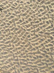Dessin naturel formé sur le sable de la plage