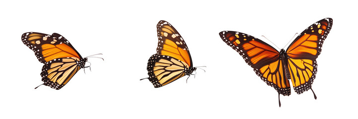 Fototapeta premium Beautiful Butterflies flying PNG displayed on plain white background