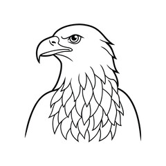 eagle vector illustration