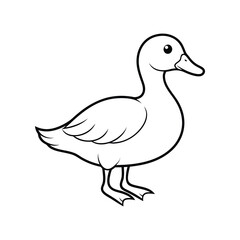 duck illustration