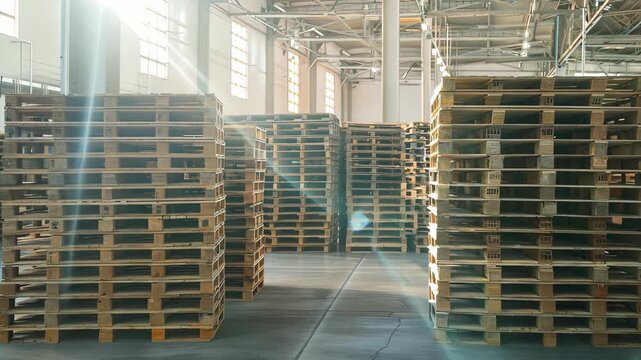 Sunlight entering empty warehouse full of wooden pallets