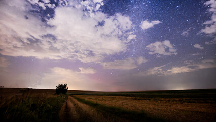 Starry night at the edge of a field in summer