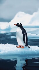 Fototapeta premium A penguin stands atop an ice floe, surrounded by calm waters and ice in an Arctic setting