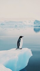 Obraz premium A penguin is perched on an ice floe, surrounded by tranquil waters and icy landscapes in Antarctica