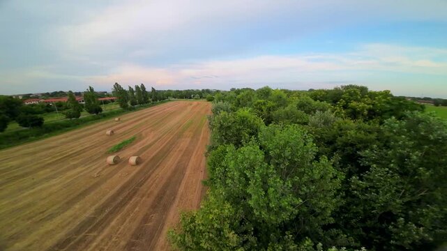 View from the first flight on the FPV drone. Video Shooting on an ultra-wide angle camera. Fast and dynamic flight on a sports quadcopter gvnf.obksz yn lipo batteries. Nature. Tuscany Italy 17.08.2024