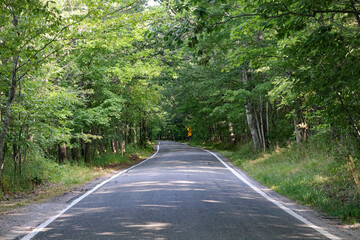 Canopied lakeshore driving route through nature parks & rustic towns, famed for vivid fall colors, in Northern Michigan near Harbor Springs.