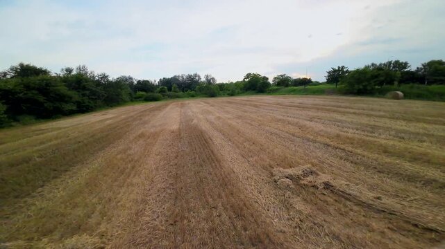View from the first flight on the FPV drone. Video Shooting on an ultra-wide angle camera. Fast and dynamic flight on a sports quadcopter gvnf.obksz yn lipo batteries. Nature. Tuscany Italy 17.08.2024