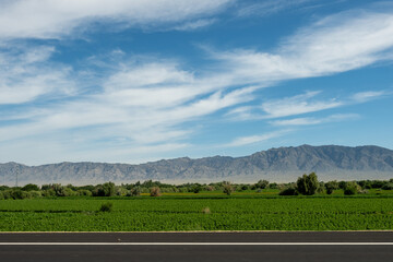 Majestic Mountains and Lush Fields in Xinjiang