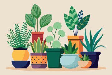 Set of decorative houseplants to decorate the interior of a house or apartment. Collection of various plants in pots
