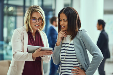 Advice, discussion and women in office with tablet, opinion or team with project management...