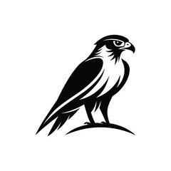 falcon bird vector, art, silhouette, logo, icon, illustration design black and white 