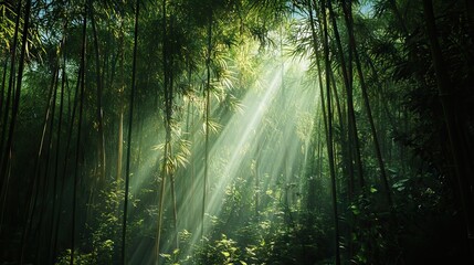 Sunlight Piercing Through a Dense Bamboo Forest, Creating Intricate Patterns of Light and Shadow on the Forest Floor. AI generated illustration