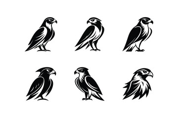 set of falcon bird vector, art, silhouette, logo, icon, illustration design black and white 