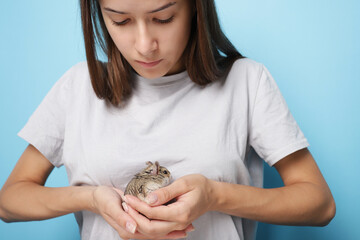 Cute hamster in hands, grey and fuzzy, running around.