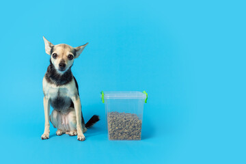 pet food storage, dog with dry feed in container on blue background, small animal enjoying healthy...