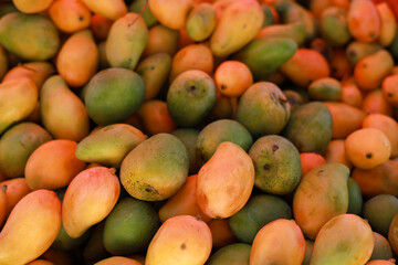 group of exotic papaya fruits 