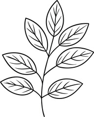 leaves line art illustration black and white