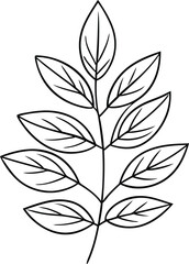 leaves line art illustration black and white