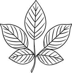 leaves line art illustration black and white