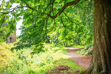 Fototapety na wymiar - Fototapeta24.pl