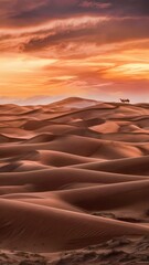 Naklejka premium sunset in the desert