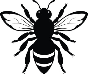  Bee Vector Illustration with Detailed Wings and Striped Body on an Isolated White Background