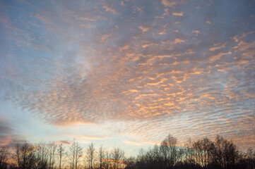 Obraz premium Bright sky, river and trees at sunset, natural background.