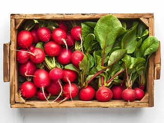 Freshly harvested radishes and spinach in a wooden crate