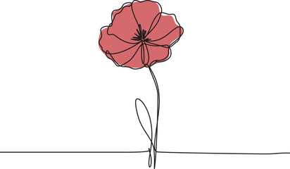 continuous single line drawing of red wild flower, colored corn poppy line art vector illustration