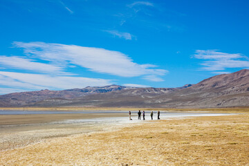 Reserva Nacional de Salinas y Aguada Blanca. Ubicada en el departamento de Arequipa, Peru.