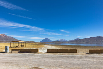 Reserva Nacional de Salinas y Aguada Blanca. Ubicada en el departamento de Arequipa, Peru.