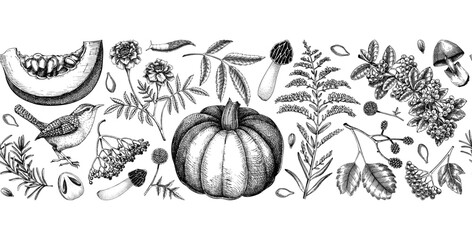 Vintage autumn seamless pattern. Thanksgiving background. Fall leaves, pumpkins, berries, mushrooms sketches. Hand-drawn vector illustration. NOT AI generated