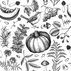 Vintage autumn seamless pattern. Thanksgiving background. Fall leaves, pumpkins, berries, mushrooms sketches. Hand-drawn vector illustration. NOT AI generated