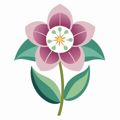 Hellebores flower vector illustration 